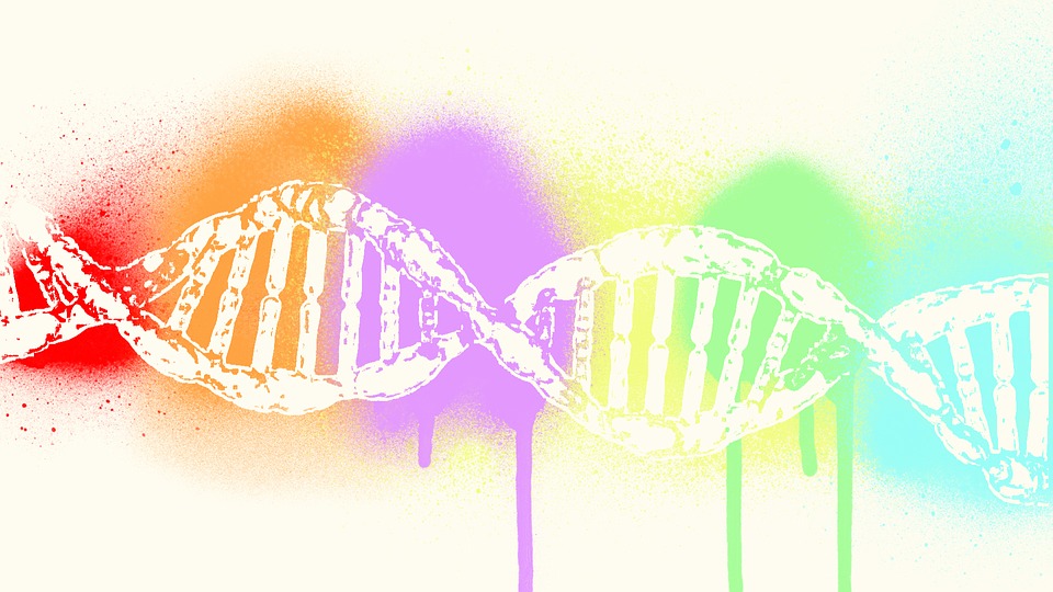 Alcoholism Damages DNA and Increases Chances of Cancer